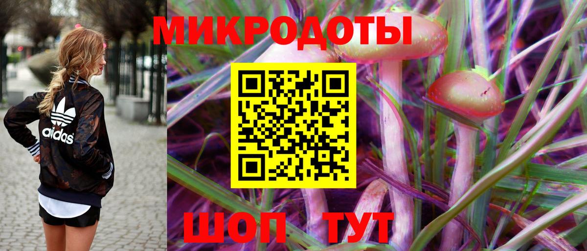 Псилоцибиновые грибы GOLDEN TEACHER  Вход с VPN  Старая Купавна  Псилоцибиновые грибы MAGIC MUSHROOMS 